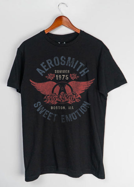 Aerosmith Summer 75 T-shirt